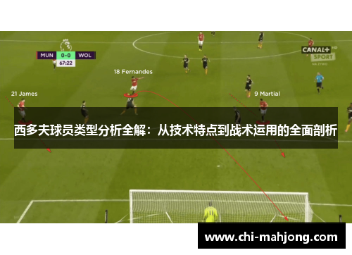 西多夫球员类型分析全解：从技术特点到战术运用的全面剖析