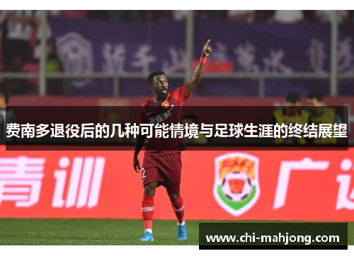 费南多退役后的几种可能情境与足球生涯的终结展望