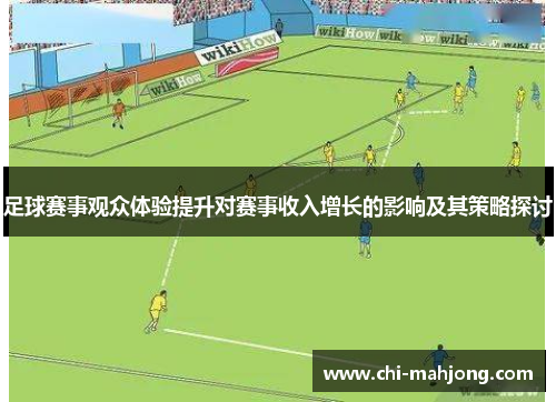 足球赛事观众体验提升对赛事收入增长的影响及其策略探讨