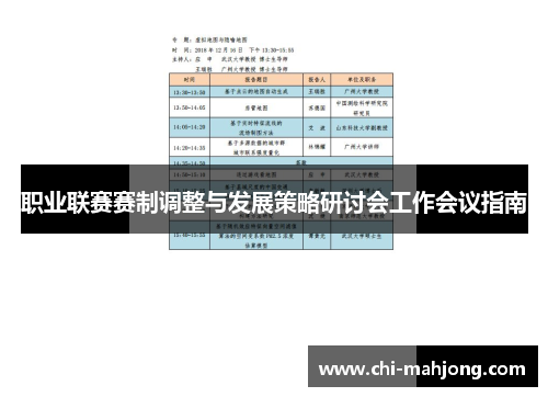 职业联赛赛制调整与发展策略研讨会工作会议指南 职业联赛赛制调整与发展策略研讨会工作会议指南