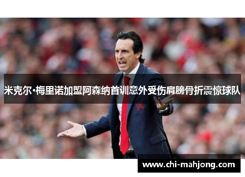 米克尔·梅里诺加盟阿森纳首训意外受伤肩膀骨折震惊球队 米克尔·梅里诺加盟阿森纳首训意外受伤肩膀骨折震惊球队