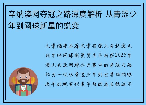 辛纳澳网夺冠之路深度解析 从青涩少年到网球新星的蜕变
